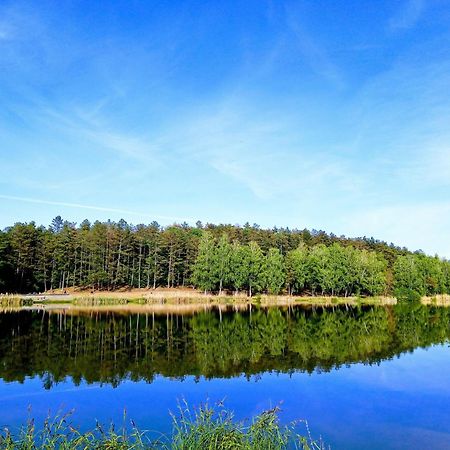 Sztar Motel Etterem Balassagyarmat Exteriör bild